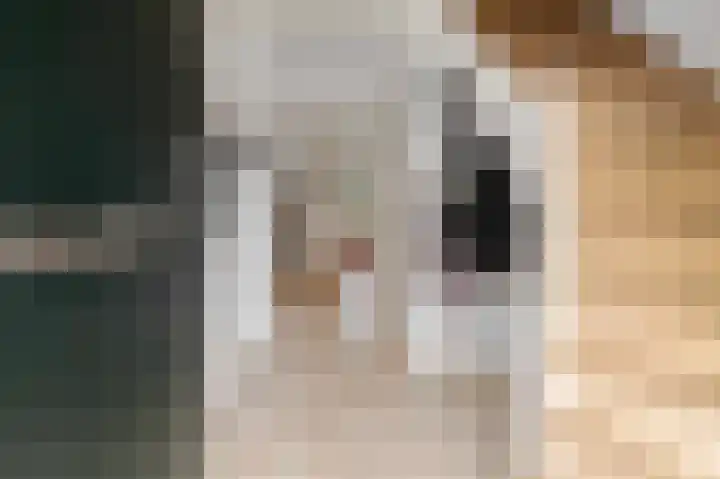 Schepenstraat 25 Geulle thumbnail 4