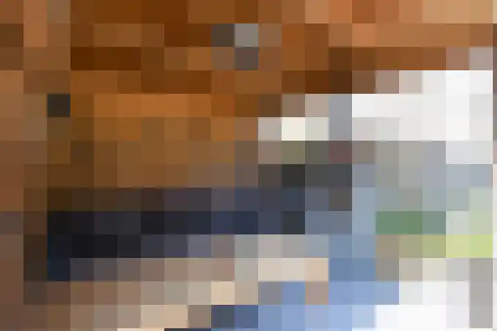 Schepenstraat 31 Ter Aar thumbnail 22