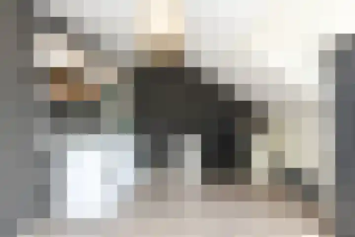 Schepenstraat 31 Ter Aar thumbnail 30