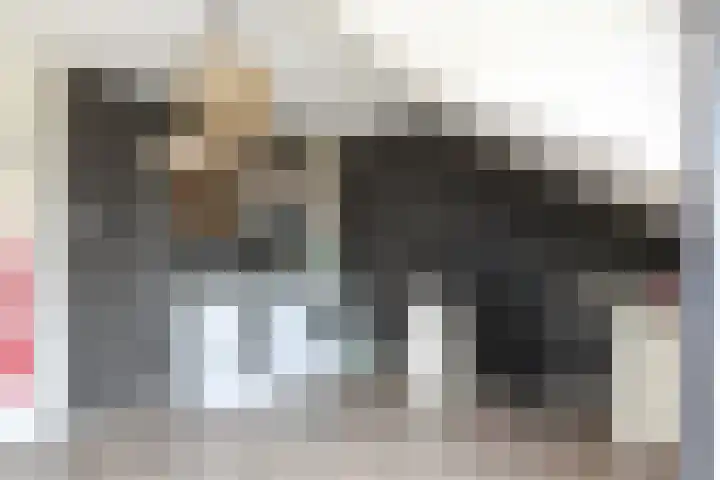 Schepenstraat 31 Ter Aar thumbnail 31