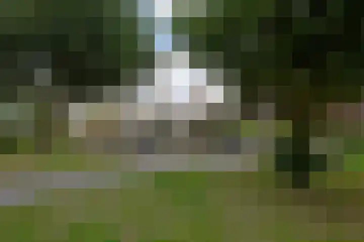 Schepenstraat 31 Ter Aar thumbnail 40