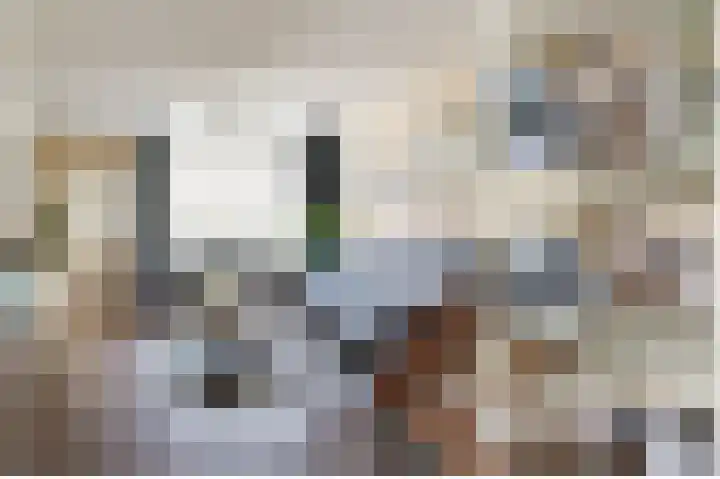 Schepenstraat 35 Ter Aar thumbnail 10