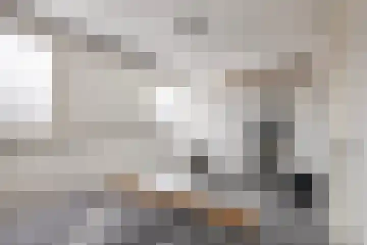 Schepenstraat 35 Ter Aar thumbnail 12