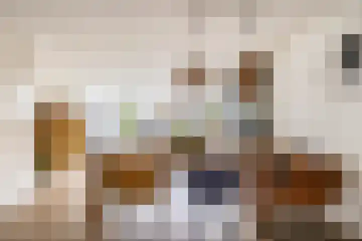 Schepenstraat 35 Ter Aar thumbnail 34