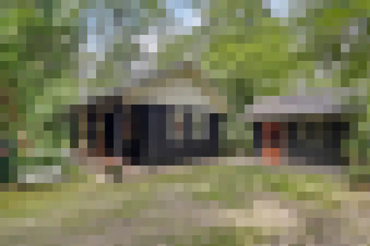 Schepenstraat 35 Ter Aar thumbnail 40
