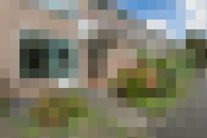 Schepenstraat 35 Ter Aar thumbnail 42