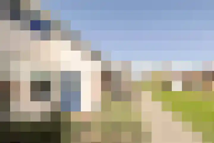 Schepenstraat 35 Ter Aar thumbnail 46