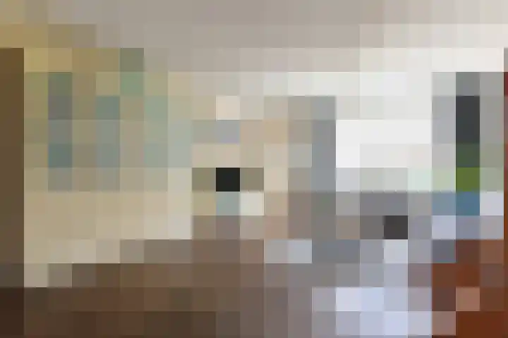 Schepenstraat 35 Ter Aar thumbnail 9