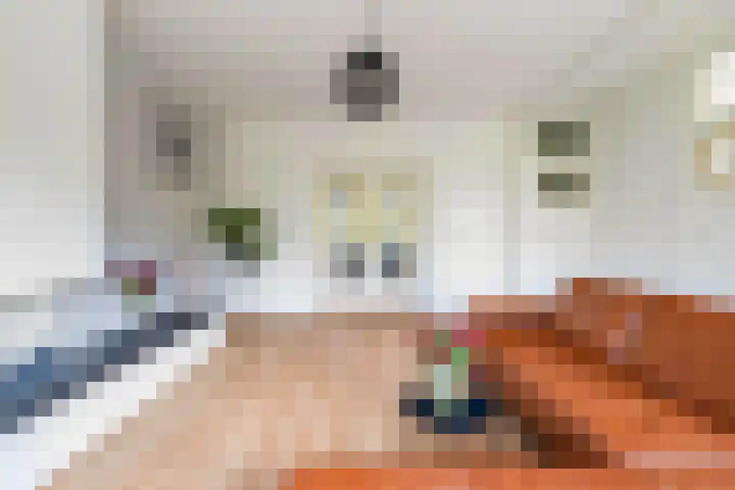 Schepenstraat 46 B 02 Rotterdam thumbnail 11
