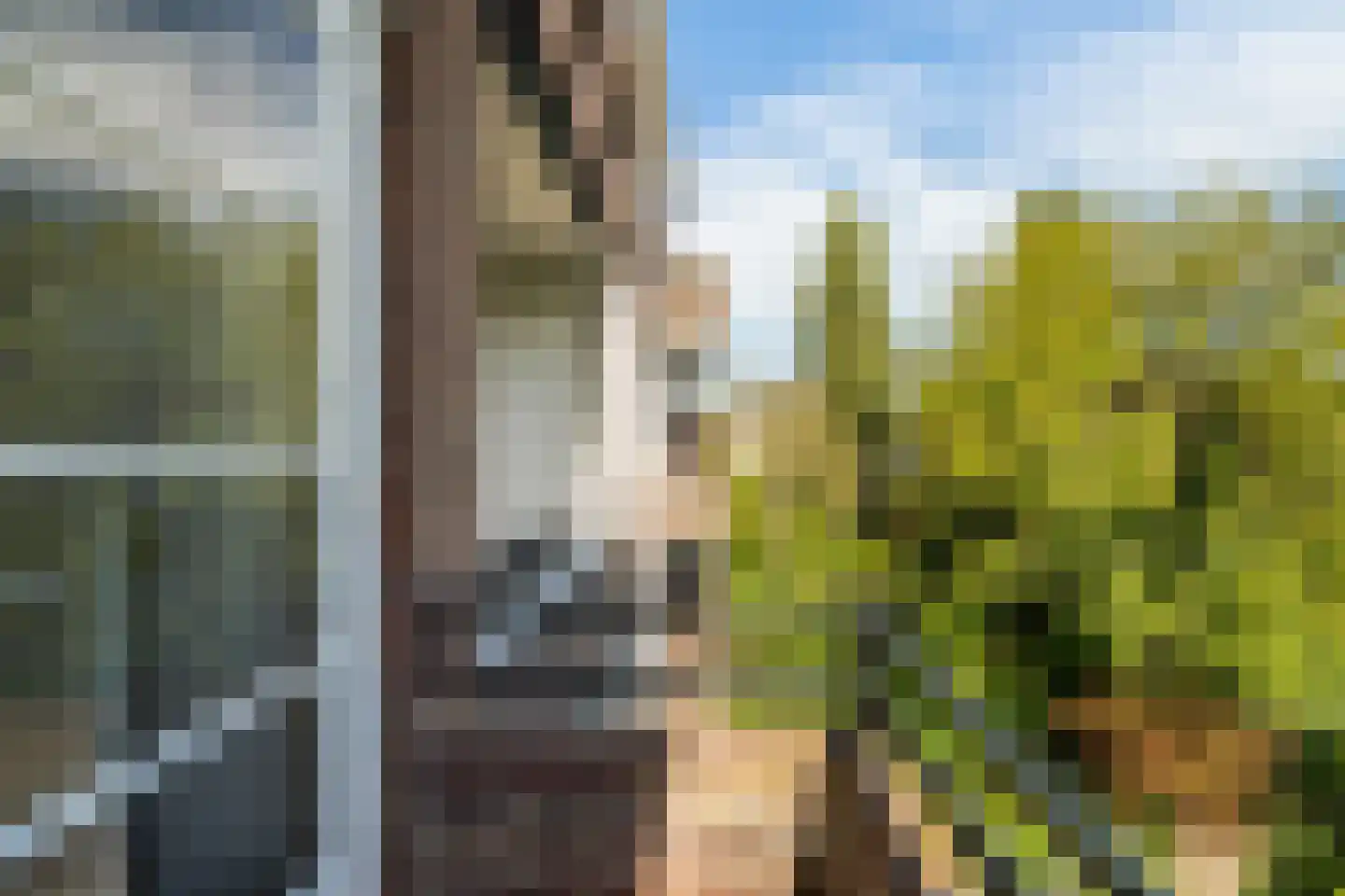 Schepenstraat 46 B 02 Rotterdam thumbnail 26