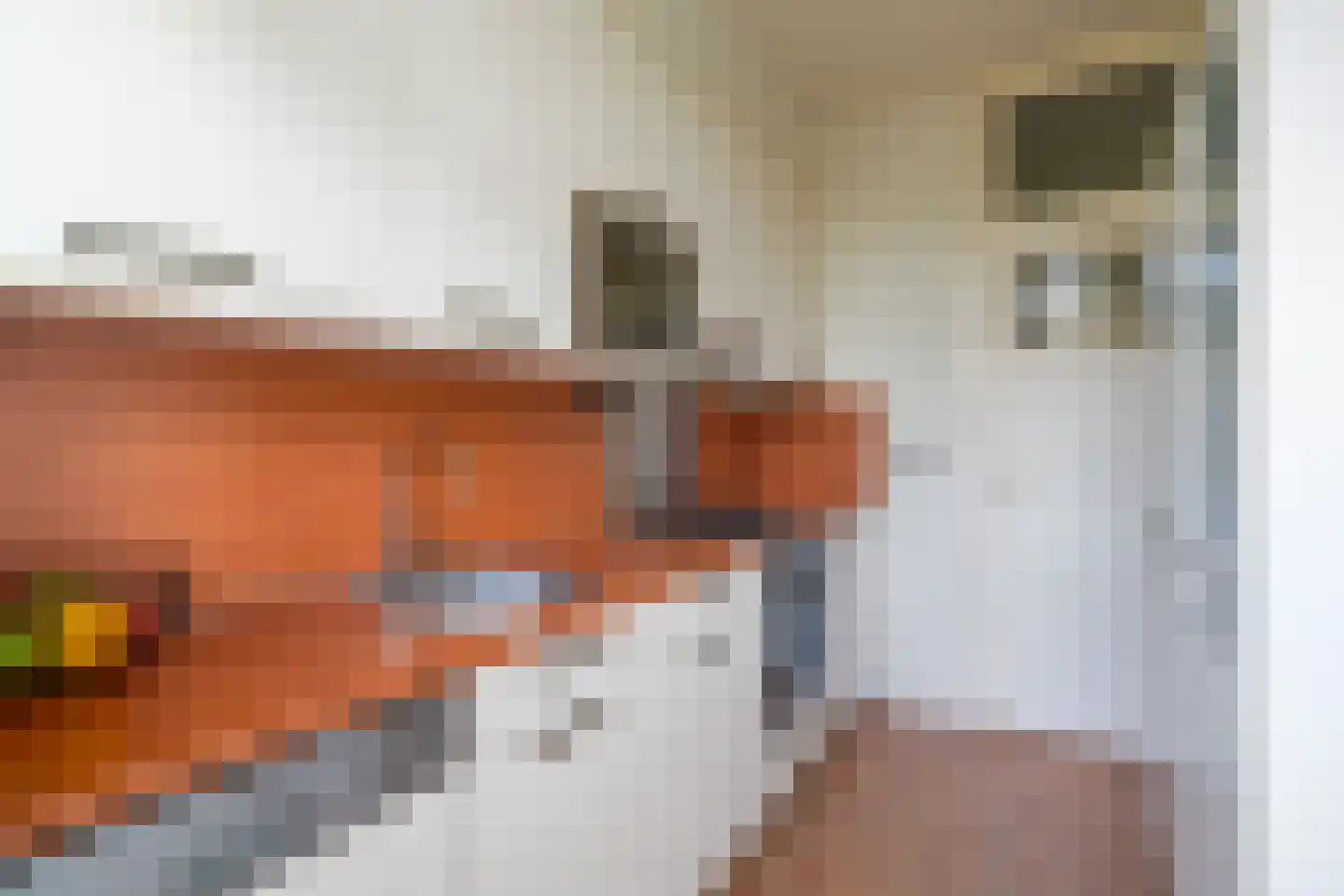 Schepenstraat 46 B 02 Rotterdam thumbnail 31