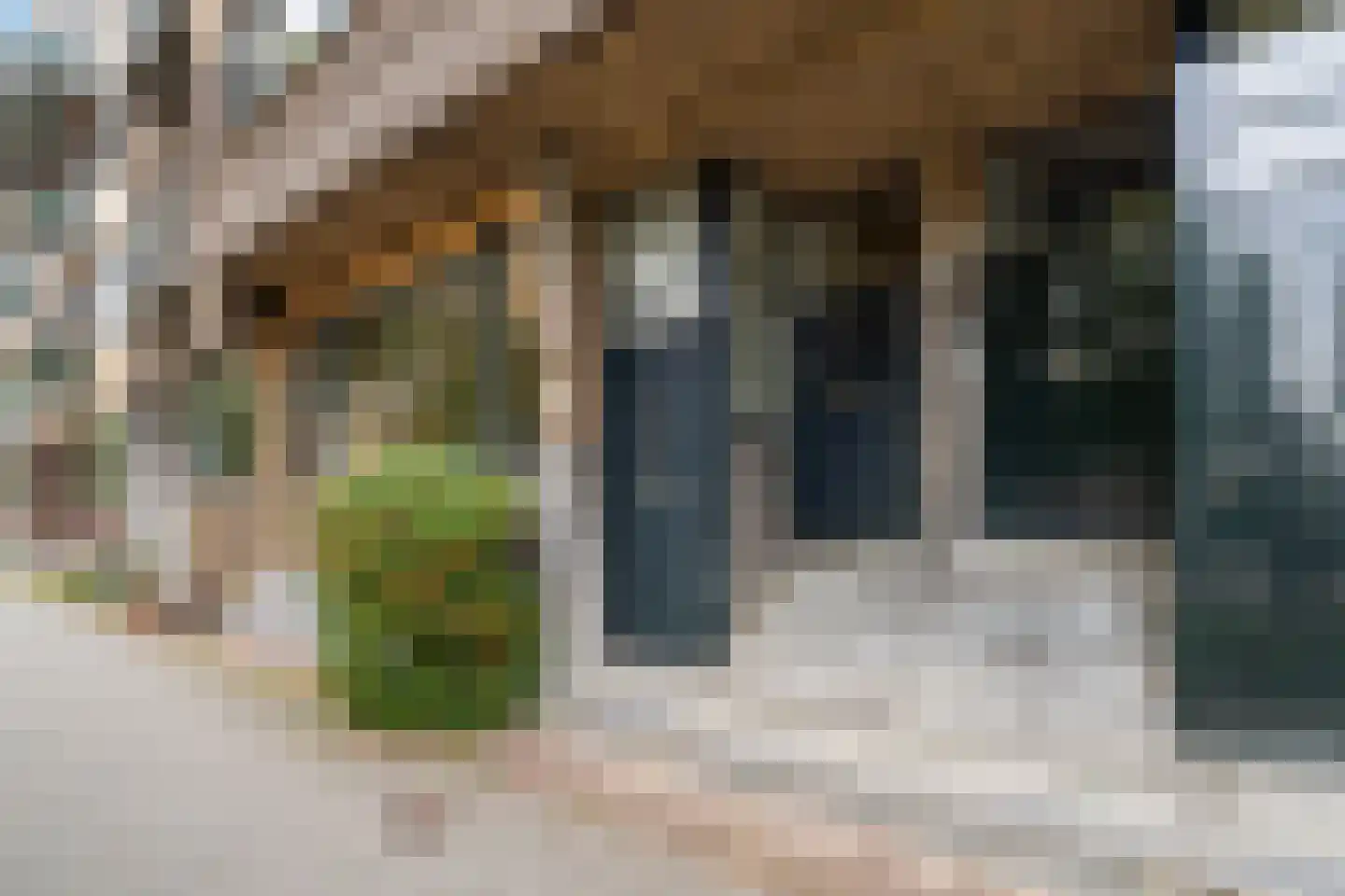 Schepenstraat 46 B 02 Rotterdam thumbnail 60
