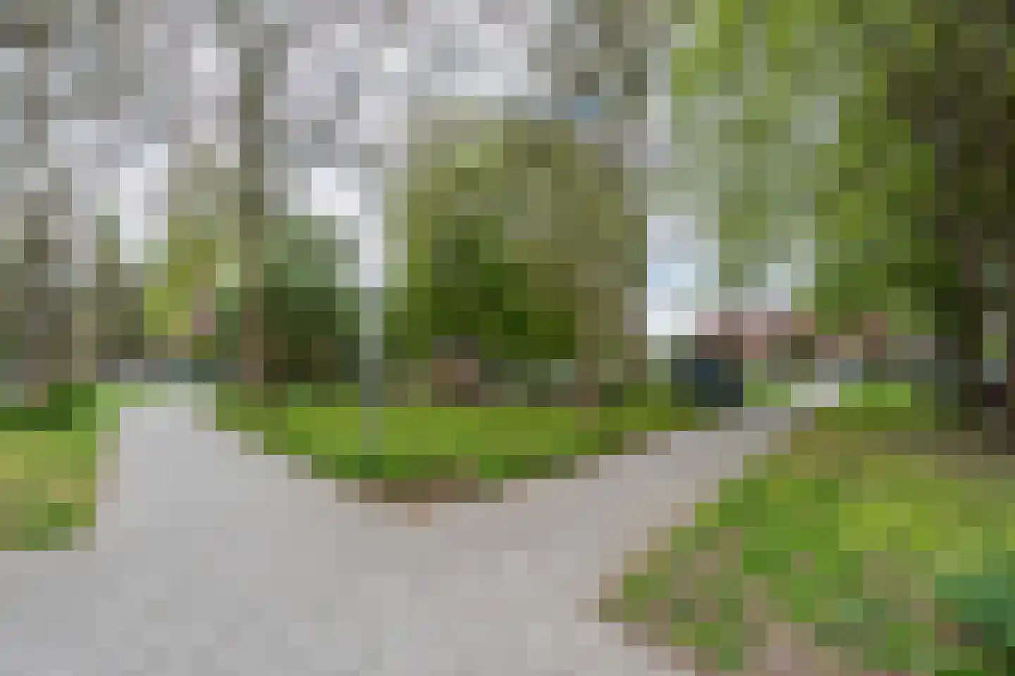 Schepenstraat 56 A Rotterdam thumbnail 37