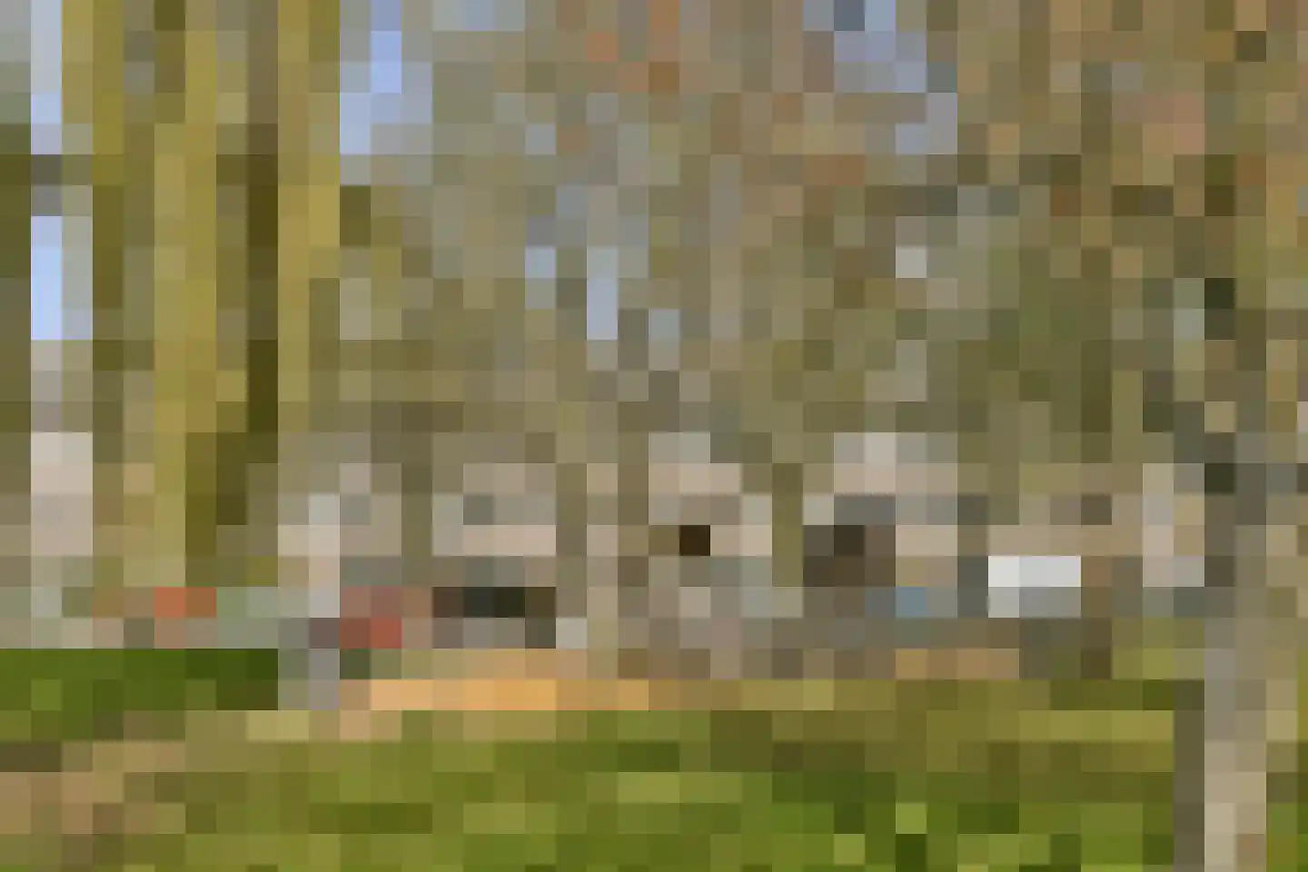 Schepenstraat 56 B Rotterdam thumbnail 26