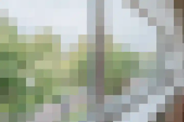 Schepenstraat 66 B Rotterdam thumbnail 16