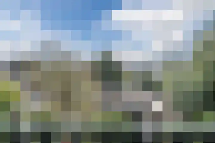 Schepenstraat 66 B Rotterdam thumbnail 42