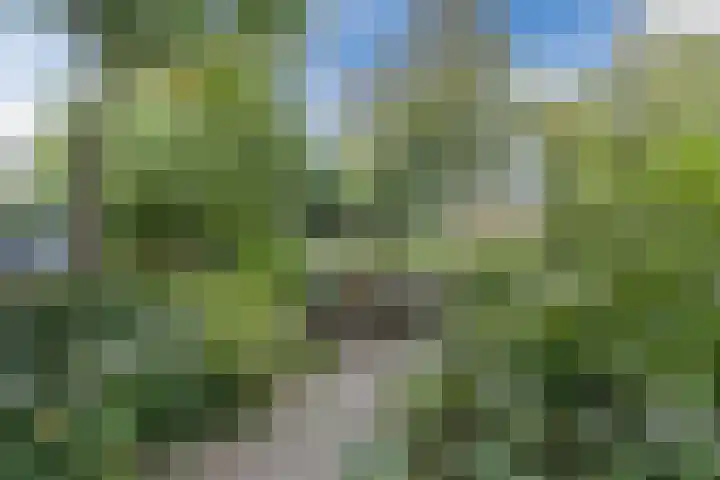 Schepenstraat 66 B Rotterdam thumbnail 43