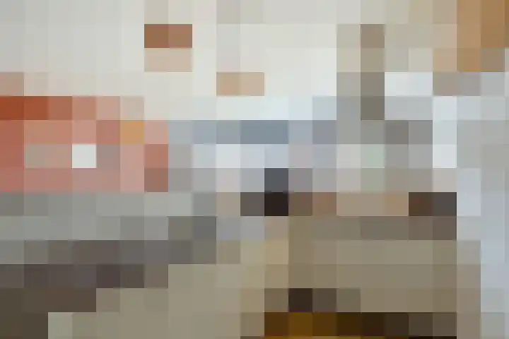 Schepershof 12 Mill thumbnail 10