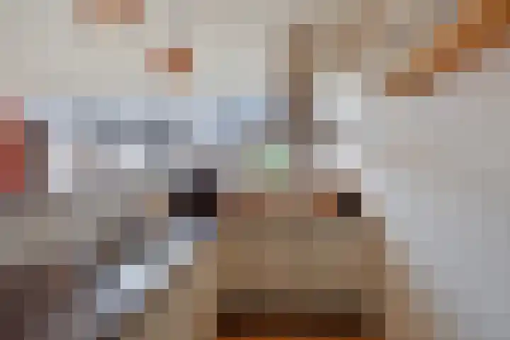 Schepershof 12 Mill thumbnail 11