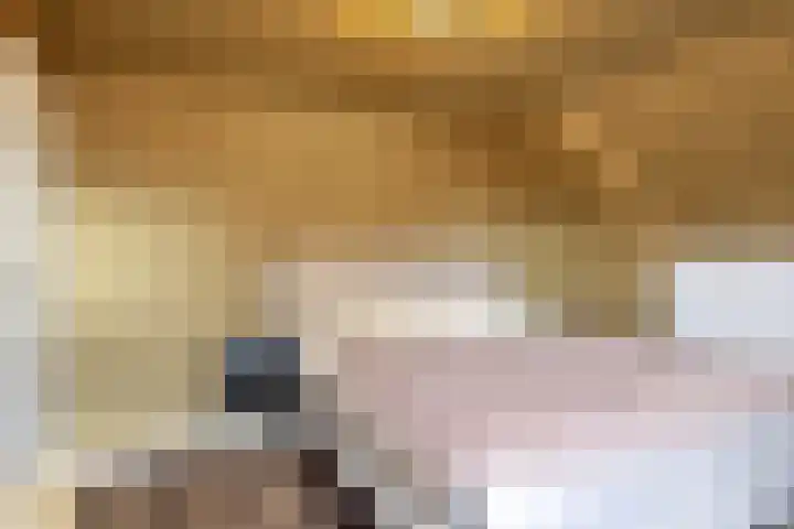 Schepershof 12 Mill thumbnail 16