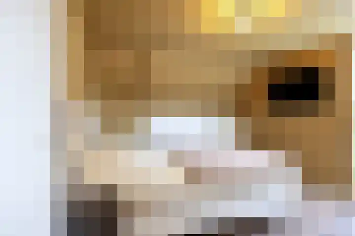 Schepershof 12 Mill thumbnail 17