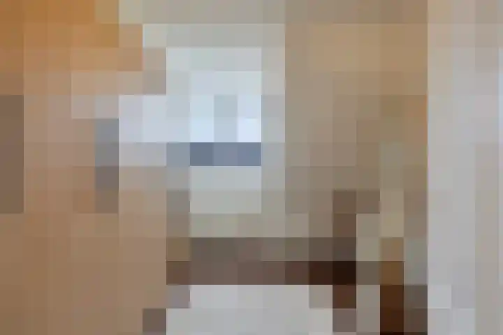Schepershof 12 Mill thumbnail 19