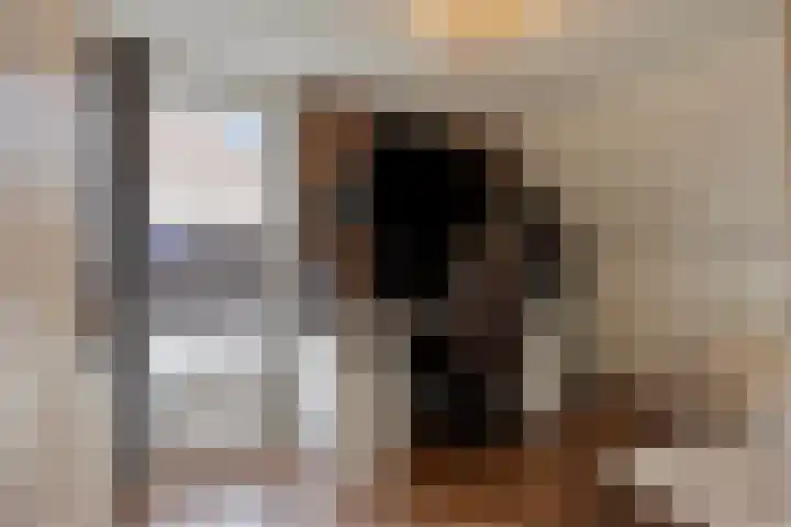 Schepershof 12 Mill thumbnail 21
