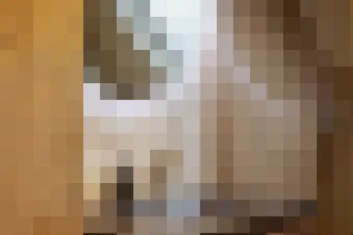 Schepershof 12 Mill thumbnail 24