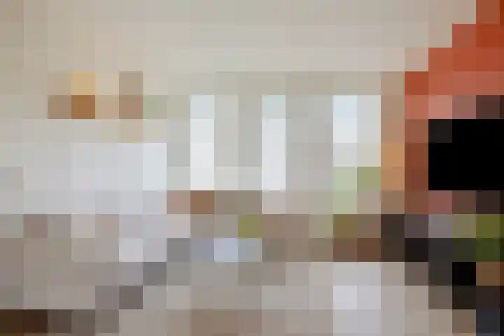 Schepershof 12 Mill foto 3