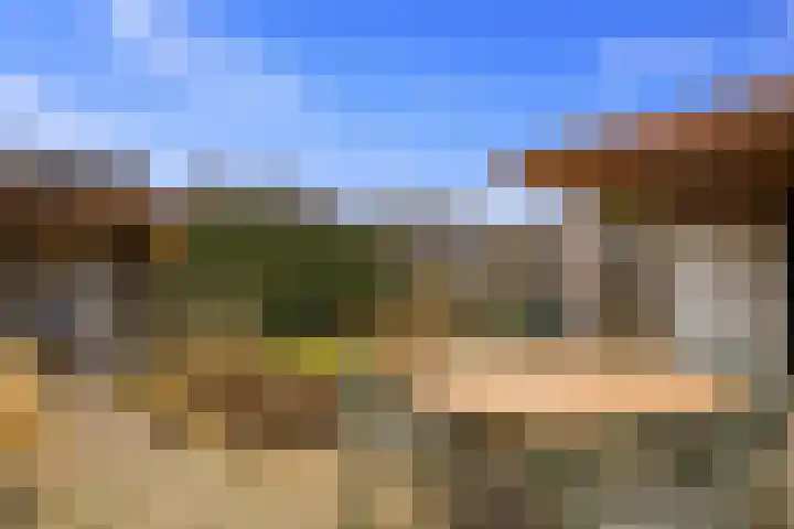 Schepershof 12 Mill thumbnail 36