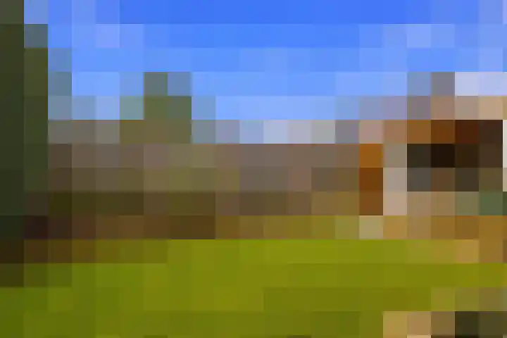 Schepershof 12 Mill thumbnail 37