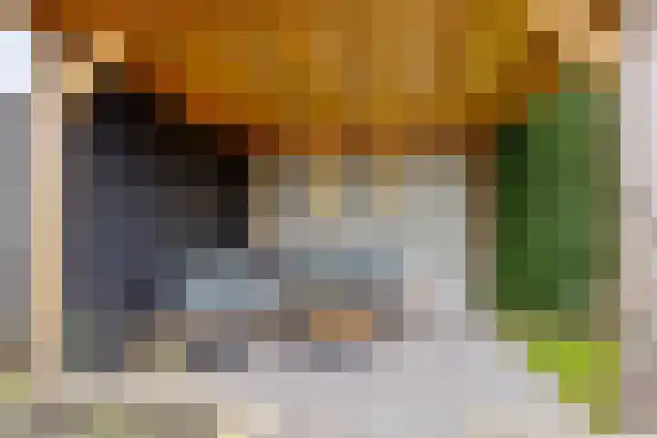 Schepershof 12 Mill thumbnail 38
