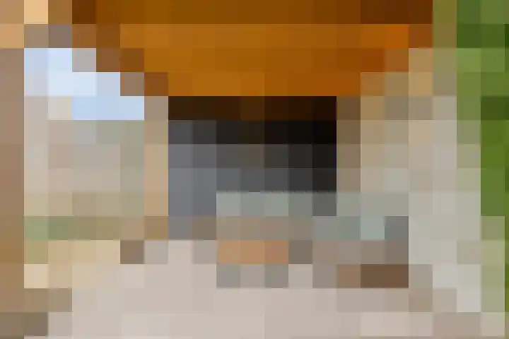 Schepershof 12 Mill thumbnail 39