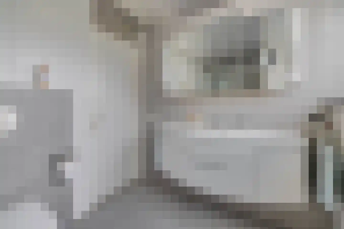 Schepershof 12 Mill thumbnail 40