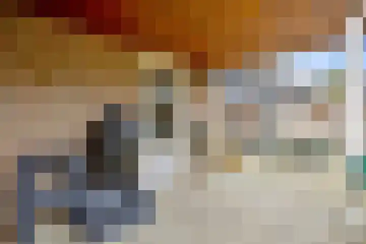 Schepershof 12 Mill thumbnail 40