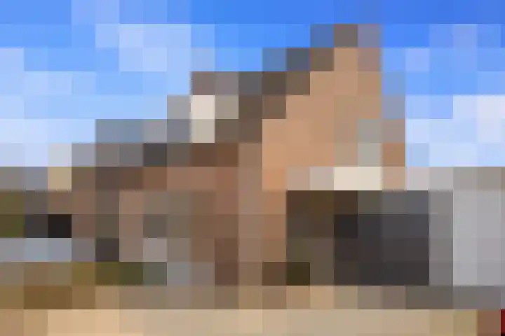 Schepershof 12 Mill thumbnail 43