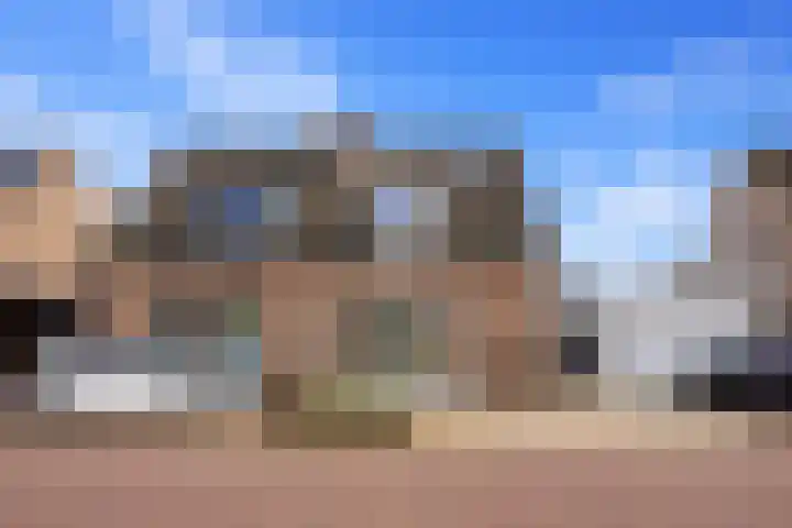 Schepershof 12 Mill thumbnail 44