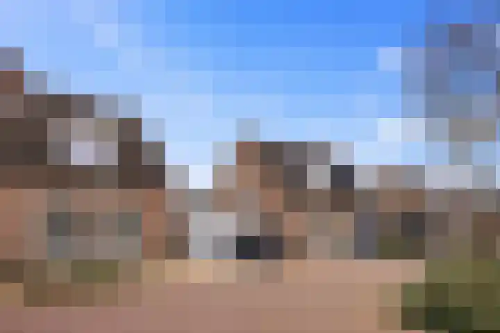 Schepershof 12 Mill thumbnail 45