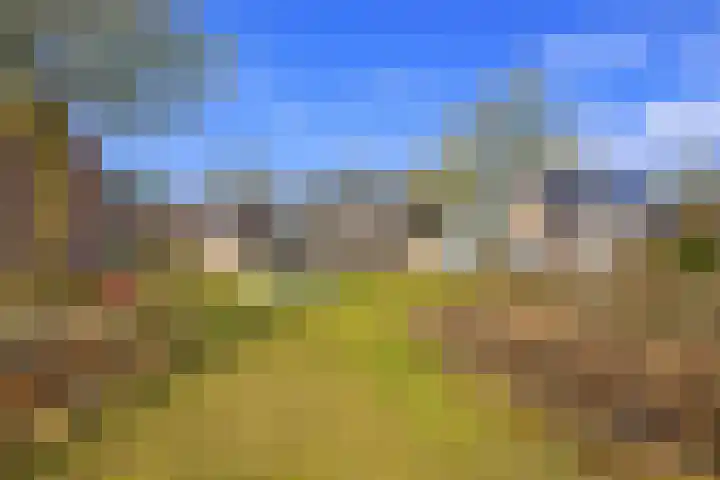 Schepershof 12 Mill thumbnail 46