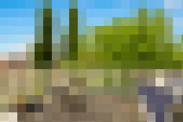 Schepershof 12 Mill thumbnail 47