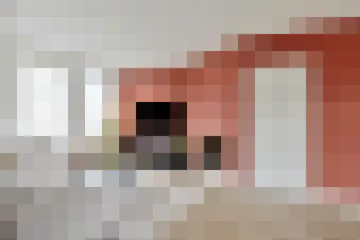 Schepershof 12 Mill thumbnail 5