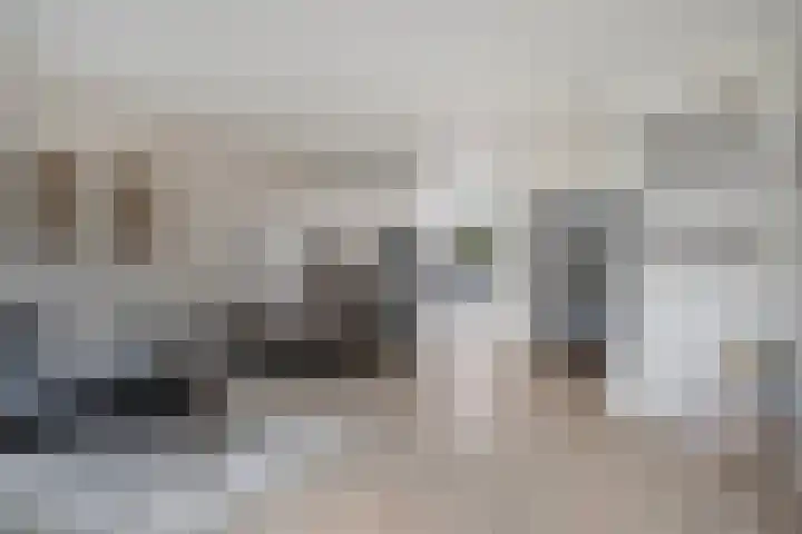 Schepershof 12 Mill thumbnail 9