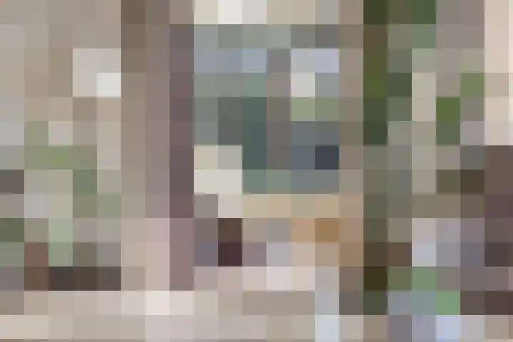 Scheperskamp 25 Vledder thumbnail 10