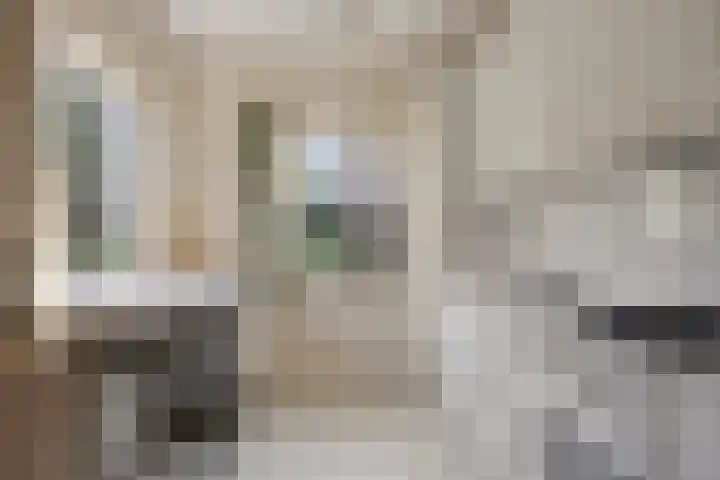 Scheperskamp 25 Vledder thumbnail 11