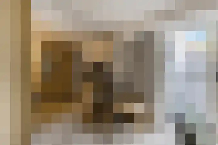 Scheperskamp 25 Vledder thumbnail 14