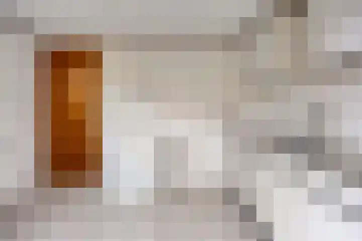 Scheperskamp 25 Vledder thumbnail 14