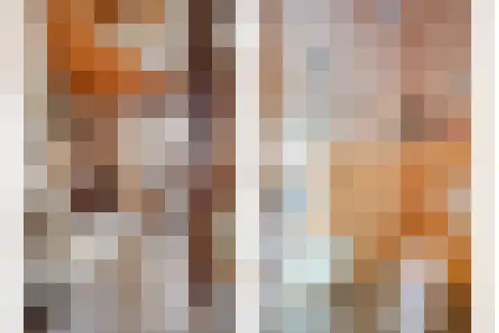 Scheperskamp 25 Vledder thumbnail 15