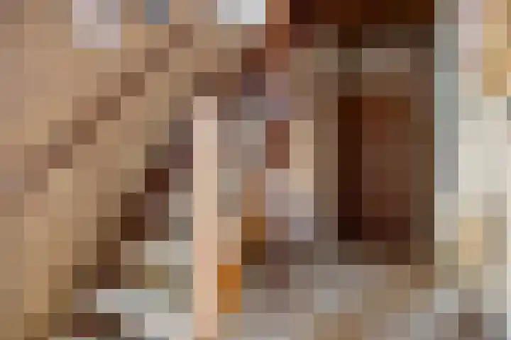 Scheperskamp 25 Vledder thumbnail 16