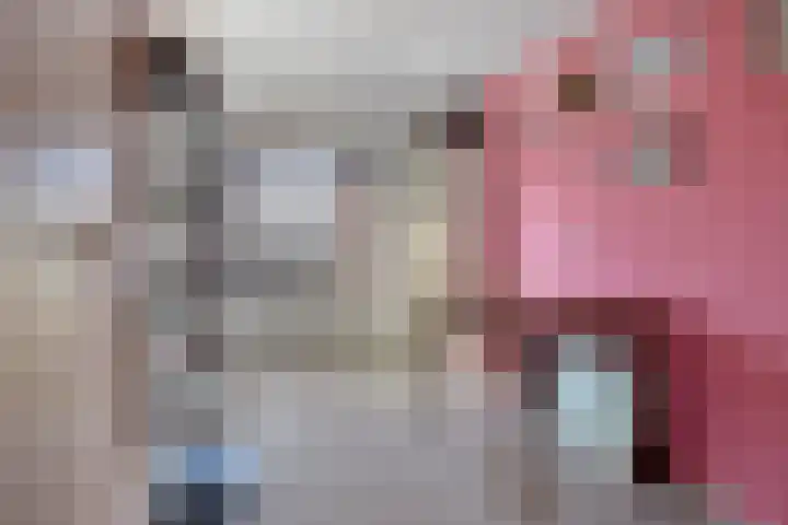 Scheperskamp 25 Vledder thumbnail 22