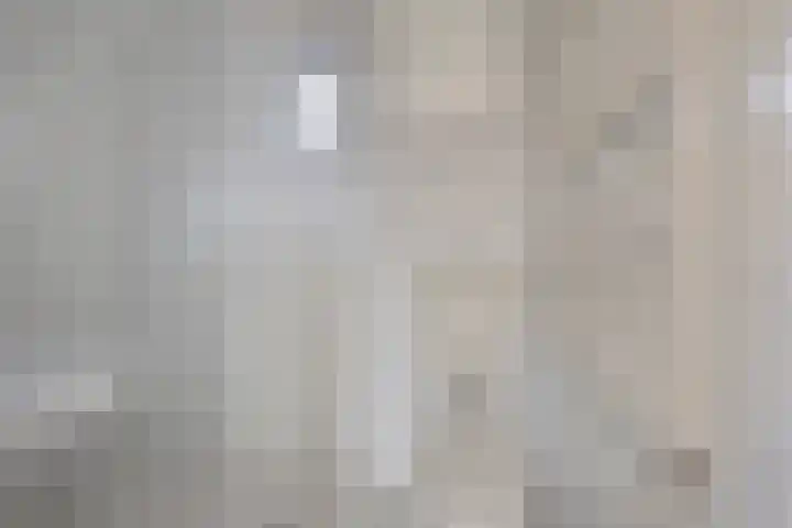 Scheperskamp 25 Vledder thumbnail 24